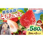 鮮度抜群 いちご とちあいか 290g×2P