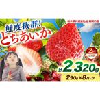 鮮度抜群 いちご とちあいか 290g×8P