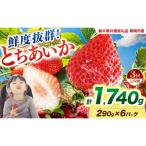 鮮度抜群 いちご とちあいか 290g×6P