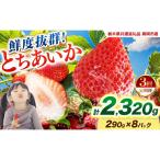 鮮度抜群 いちご とちあいか 290g×8P