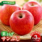 葉とらず サンふじ 約3kg