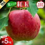葉とらず 紅玉 特A 約5kg
