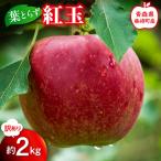 葉とらず 紅玉 約2kg