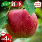 葉とらず 紅玉 約4kg