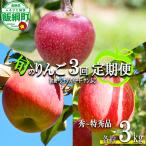 旬のりんご 秀~特秀 3kg