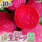 訳あり ビーツ 約10kg