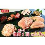 地鶏 愛媛 媛っこ地鶏 1羽セット 約2.5kg
