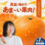 みかん ハウスみかん 約1kg