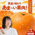 みかん ハウスみかん 約5kg