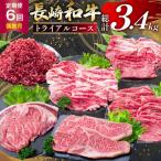 BJ669 長崎和牛 トライアルコース