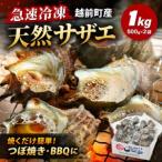 fu.... налог Echizen блок производство натуральный Sazae 1kg (500g×2 пакет )[ Sazae морепродукты ] [e15-a065] Fukui префектура Echizen блок 