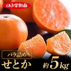 せとか 5kg