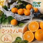 さつき 八朔 訳あり 10kg
