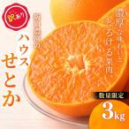 せとか 訳あり 阪口農園のハウスせとか 3kg
