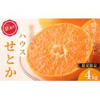 せとか 訳あり 阪口農園のハウスせとか 4kg