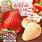 新定番とちあいか&大粒スカイベリー 食べ比べセット 560g