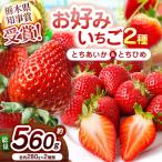 新定番とちあいか&元祖とちおとめ 食べ比べセット 560g