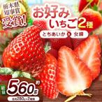 新定番とちあいか&伝統の女峰 食べ比べセット 560g