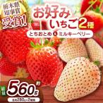 元祖とちおとめ×白いちごミルキーベリー 食べ比べセット