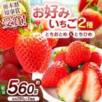 大粒スカイベリー×元祖とちおとめ 食べ比べセット 560g