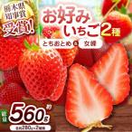 元祖とちおとめ×伝統の女峰 食べ比べセット 560g