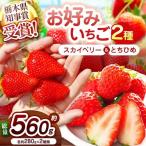 大粒スカイベリー×白いちごミルキーベリー