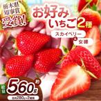 大粒スカイベリー×伝統の女峰 食べ比べセット 560g