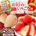 白いちごミルキーベリー×幻のとちひめ 食べ比べセット