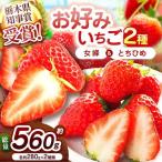 幻のとちひめ×伝統の女峰 食べ比べセット 560g