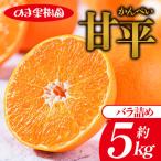 甘平 5kg
