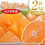 媛まどんな 2kg