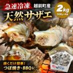 fu.... налог Echizen блок производство натуральный Sazae 2kg (500g×4 пакет )[ Sazae морепродукты ] [e15-a066] Fukui префектура Echizen блок 