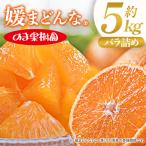 媛まどんな 5kg