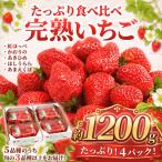 苺 300g×4P