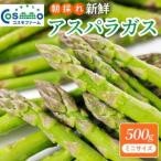 fu.... налог утро .. свежий спаржа 500g[ Mini размер ] | спаржа Gifu префектура .. город 