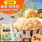 有機米 無農薬 きぬむすめ 玄米 5kg