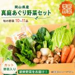 真庭あぐり野菜セット 10~11品 便利なカット野菜入り