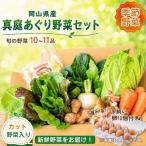 まにわの野菜 真庭あぐり野菜セット 10~11品