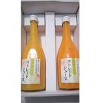 濃厚ですっきりとした味わいの柑橘100%ジュース2本入り