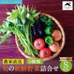 べじたぶるぱーくの旬の新鮮野菜詰合せ
