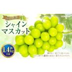 シャインマスカット 2房 約1.4kg
