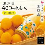 40コのれもん2本