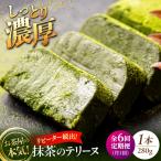 ねっとり食感 お茶屋が本気で作った 濃厚抹茶のテリーヌ 28…