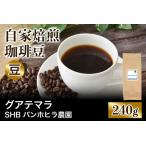 ★注文後に焙煎★自家焙煎珈琲豆 グアテマラ
