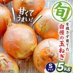 玉ねぎ5kg 2Lサイズ 玉ねぎ