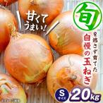 玉ねぎ20kg Sサイズ 玉ねぎ