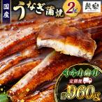 うなぎ 蒲焼 定期便 鰻 2尾