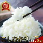 新米 定期便 5kg×6回