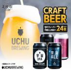 うちゅうブルーイング クラフトビール 24本セット