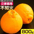 ご 不知火 約800g